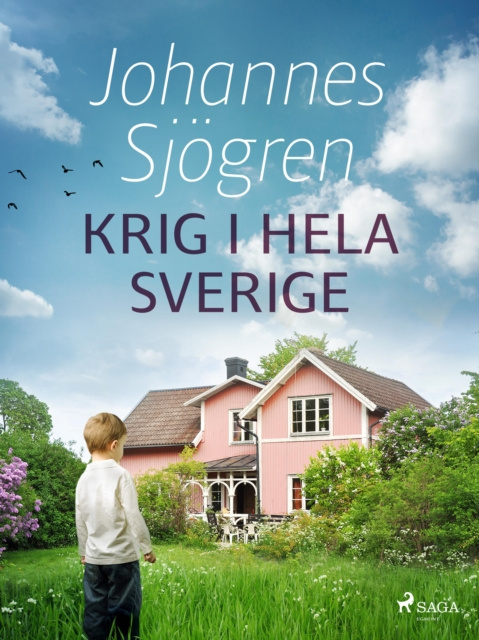 E-knjiga Krig i hela Sverige Johannes Sjogren