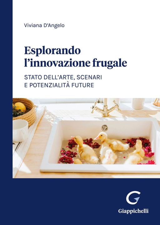 Carte Esplorando l'innovazione frugale. Stato dell’arte, scenari e potenzialità future Viviana D'Angelo