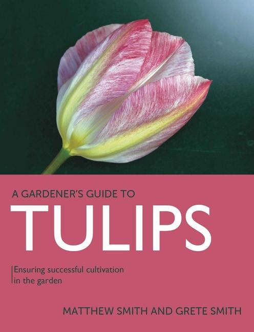 Carte Tulips Matthew Smith