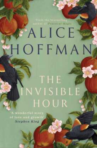 Книга Invisible Hour Alice Hoffman
