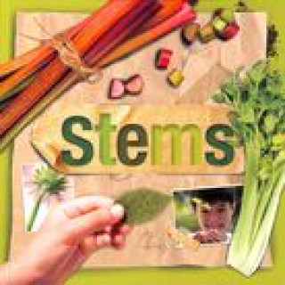 Knjiga Stems Steffi Cavell-Clarke