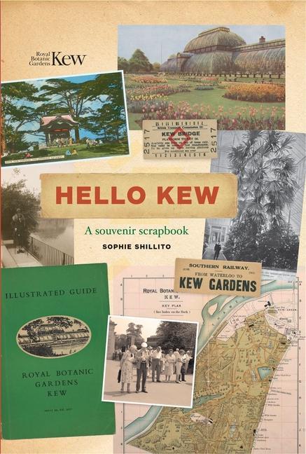 Knjiga Hello Kew Sophie Shillito