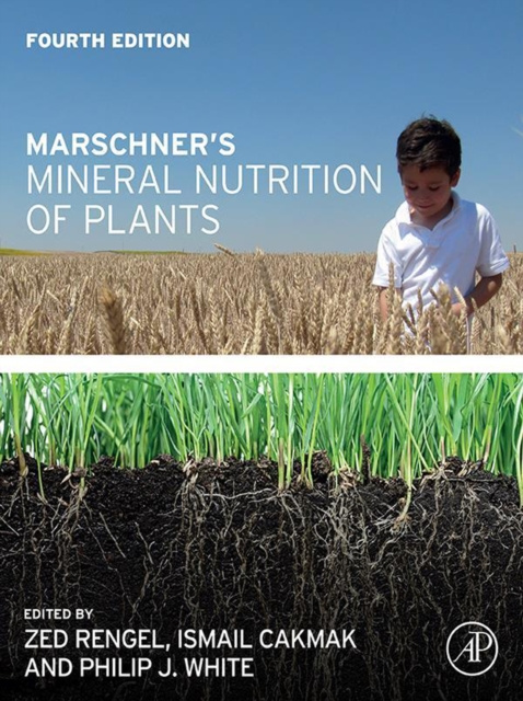 E-kniha Marschner's Mineral Nutrition of Plants Zed Rengel