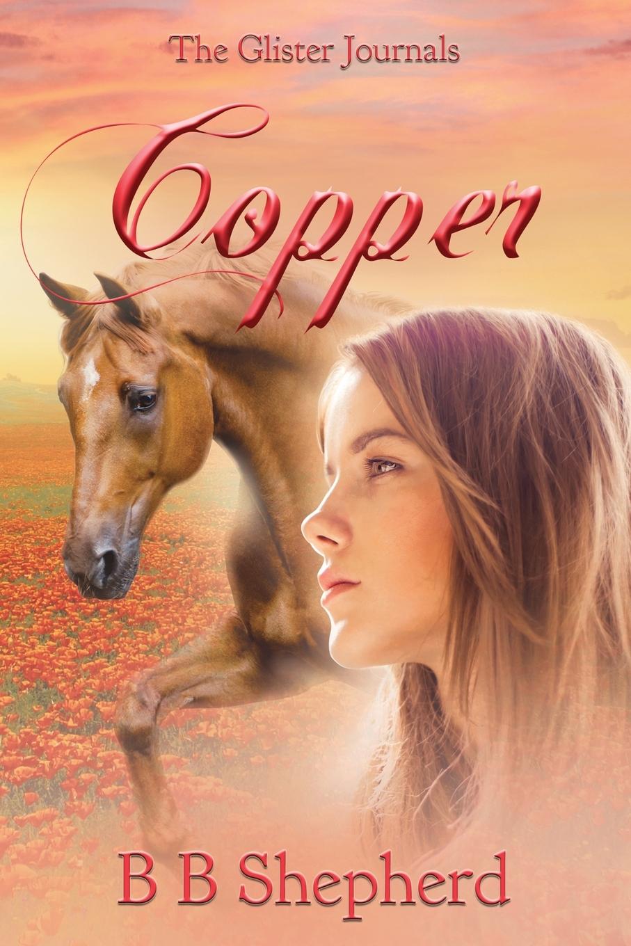 Knjiga Copper B B Shepherd