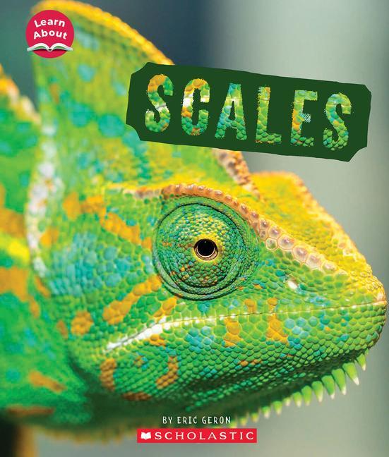 Knjiga Scales (Learn About: Animal Coverings) 
