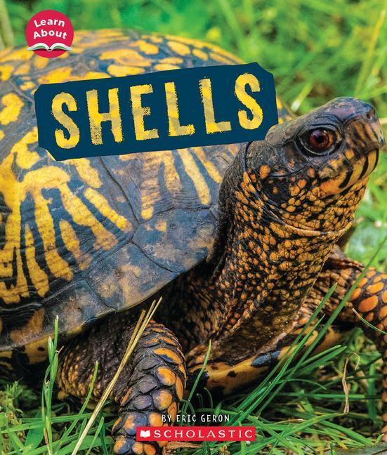 Knjiga Shells (Learn About: Animal Coverings) 