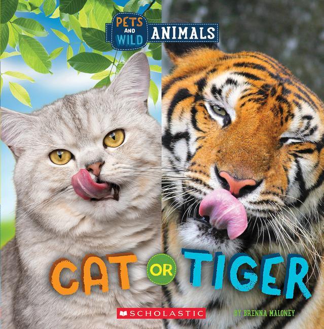 Könyv Cat or Tiger (Wild World: Pets and Wild Animals) 