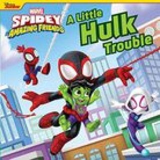 Book Spidey and His Amazing Friends a Little Hulk Trouble Disney Storybook Art Team
