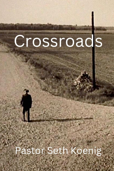 Knjiga Crossroads Seth Koenig
