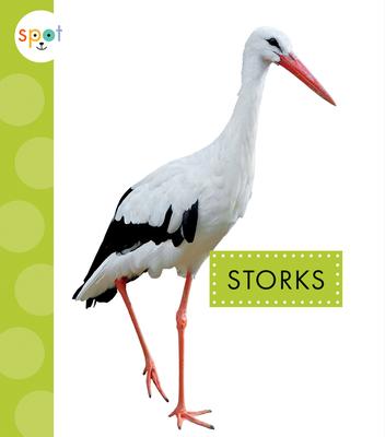 Knjiga Storks 