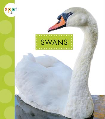 Knjiga Swans 