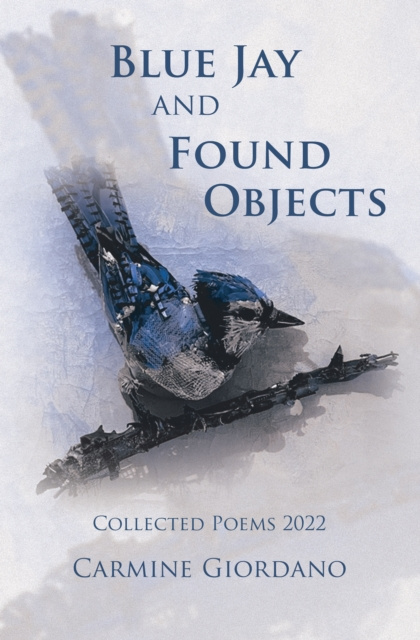 E-knjiga Blue Jay and Found Objects Carmine Giordano