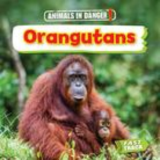 Book Orangutans Dickmann