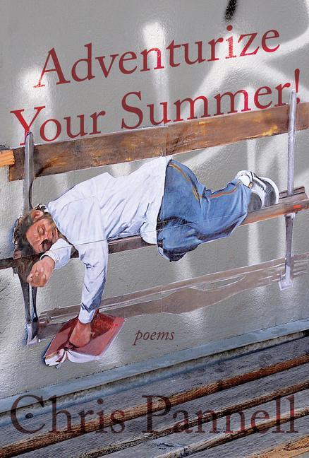 Knjiga Adventurize Your Summer! 