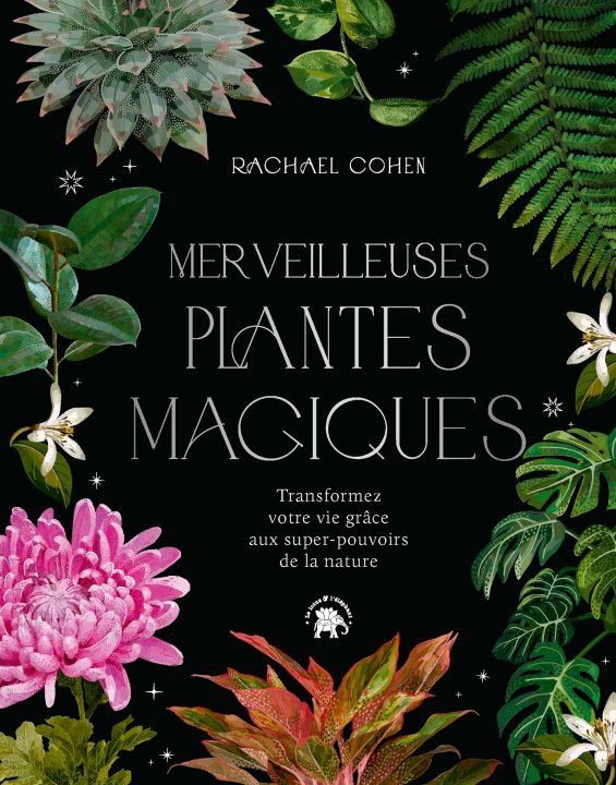 Carte Merveilleuses plantes magiques Rachael Cohen