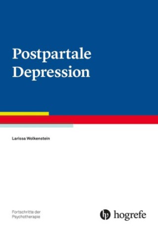 Book Postpartale Depression Larissa Wolkenstein