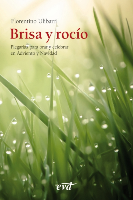 E-book Brisa y rocio Florentino Ulibarri Fernandez