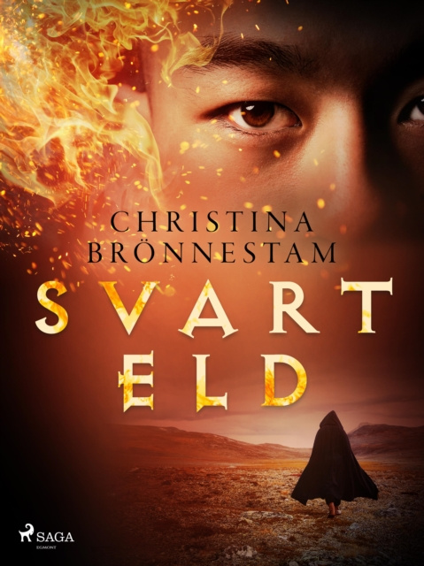 E-knjiga Svart eld Christina Bronnestam