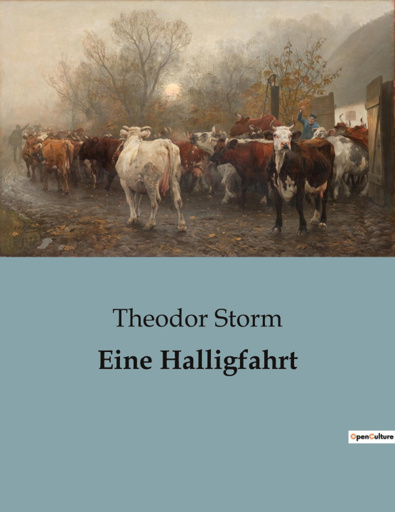 Knjiga Eine Halligfahrt Storm