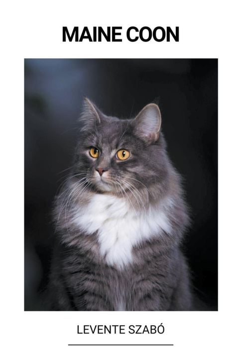 Książka Maine Coon 