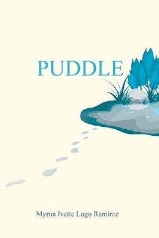 Knjiga Puddle 