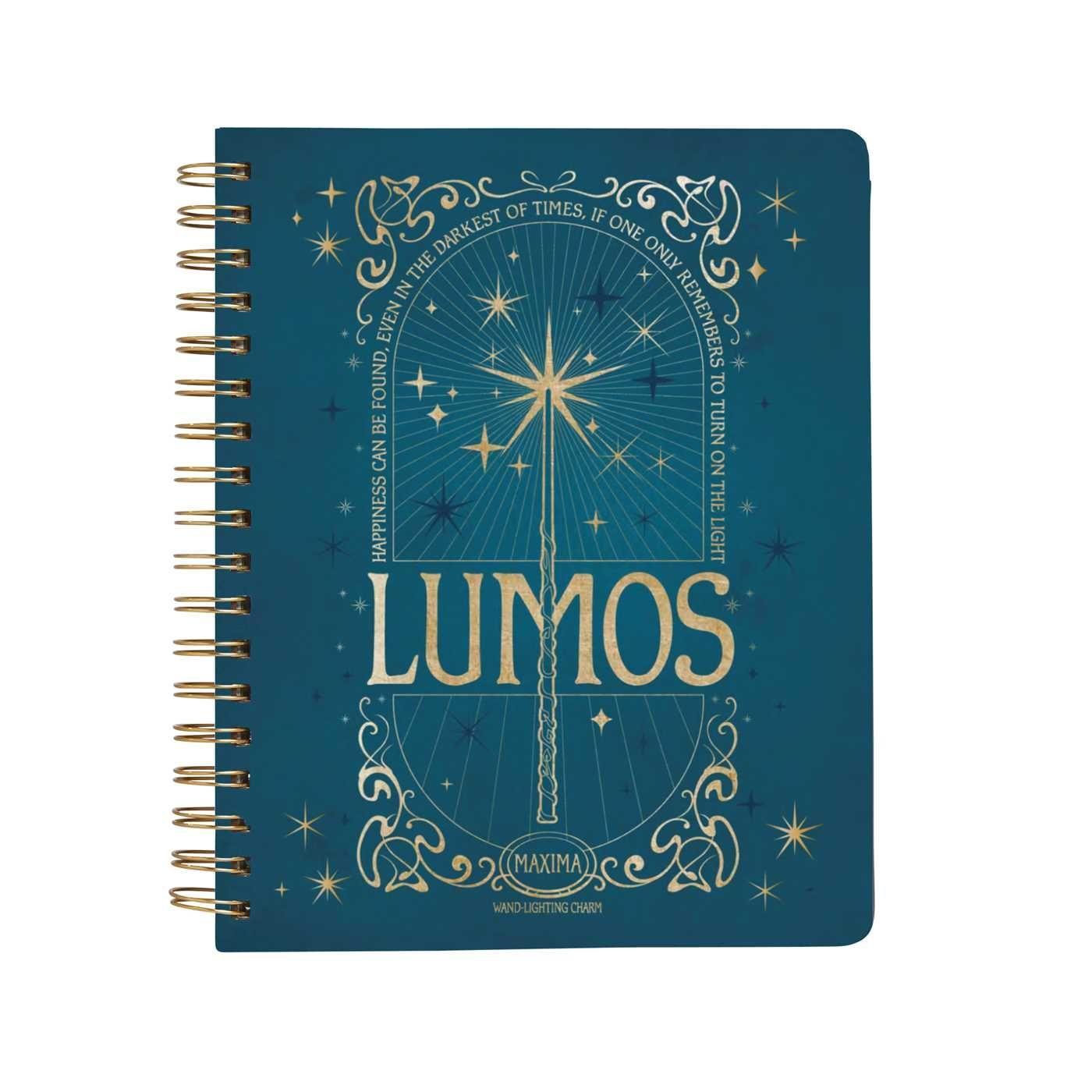Könyv Harry Potter: Spells and Potions 12-Month Undated Planner 