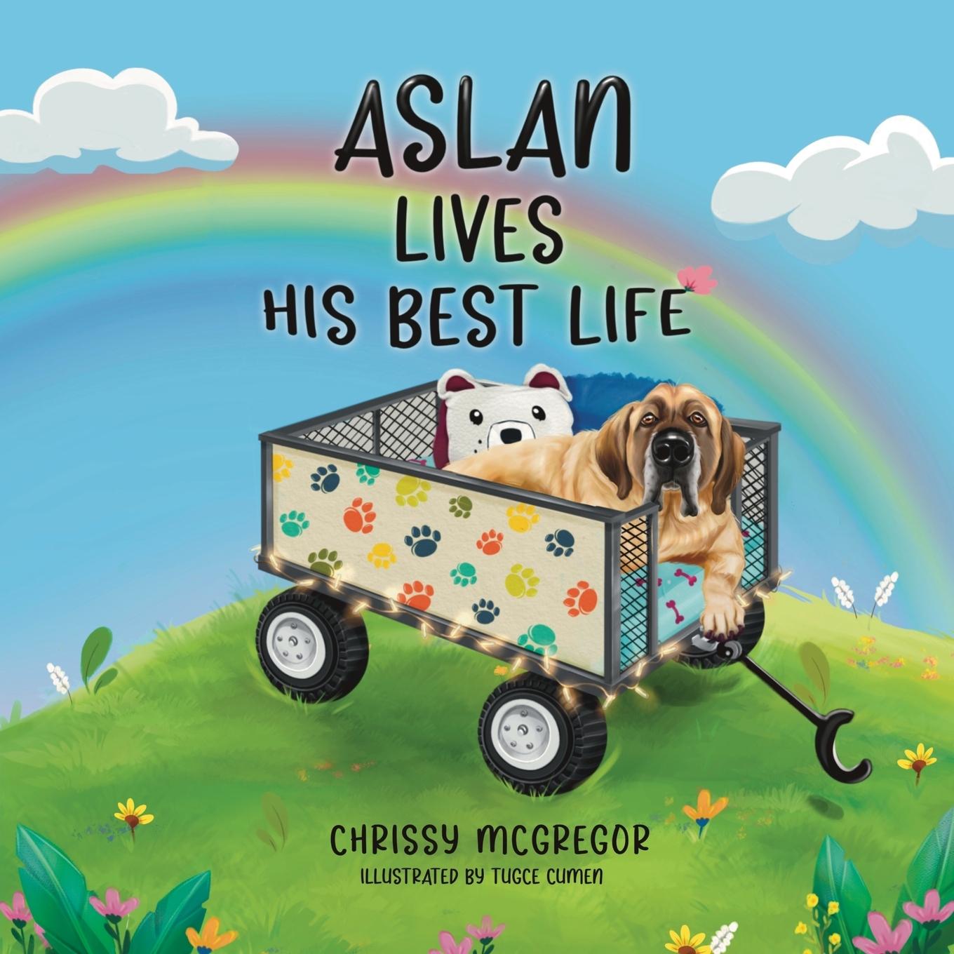 Knjiga Aslan Lives His Best Life Chrissy McGregor