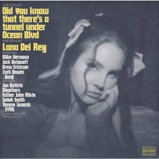 Book Did You know that there's a tunnel under Ocean Blvd Lana Del Rey