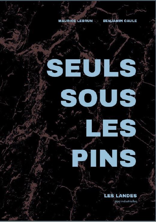 Boek Seuls sous les pins Lebrun