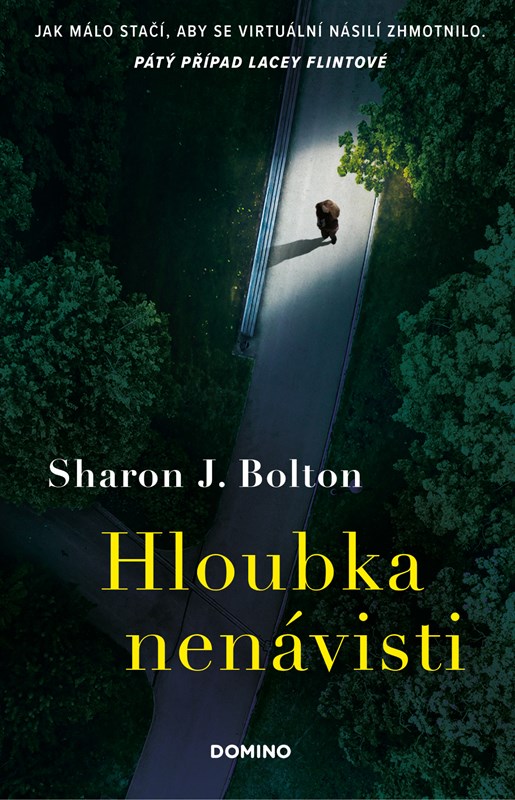 Kniha Hloubka nenávisti Sharon J. Bolton