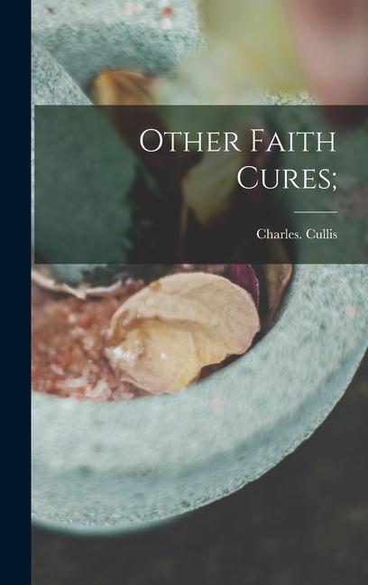 Knjiga Other Faith Cures; Charles. Cullis