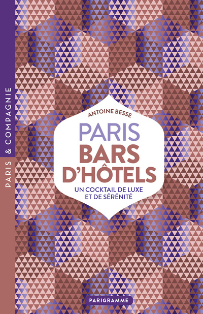 Knjiga Paris Bars d'hôtels Antoine Besse