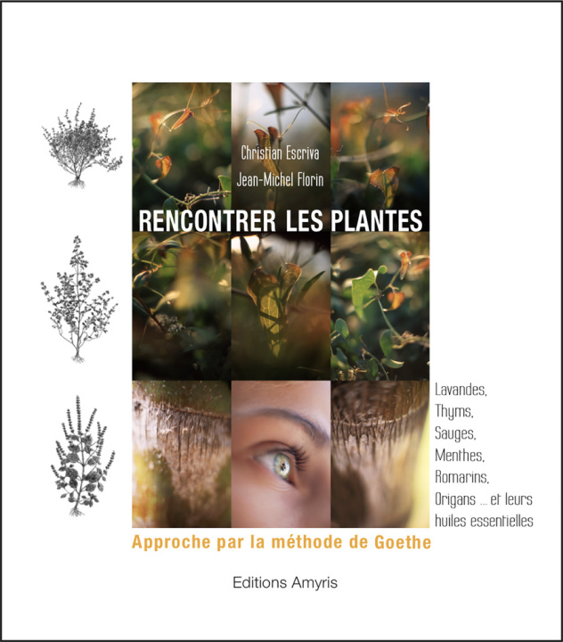 Kniha Rencontrer les plantes Escriva