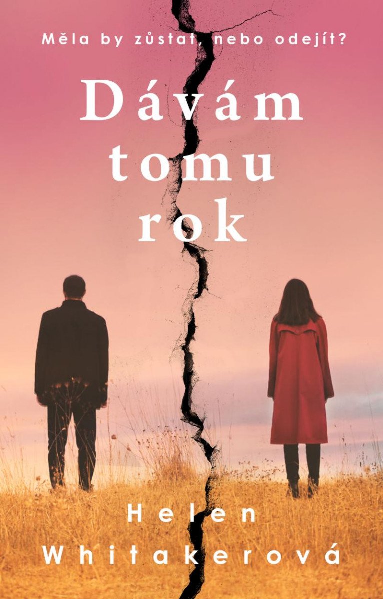Kniha Dávám tomu rok Helen Whitakerová