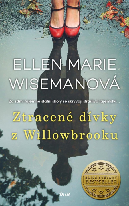 Kniha Ztracené dívky z Willowbrooku Ellen Marie Wisemanová