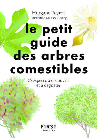 Książka Petit guide des arbres comestibles Morgane Peyrot