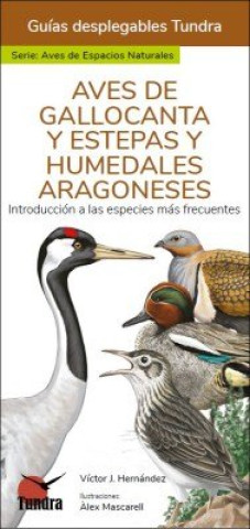 Kniha AVES DE GALLOCANTA Y ESTEPAS Y HUMEDALES ARAGONESES 