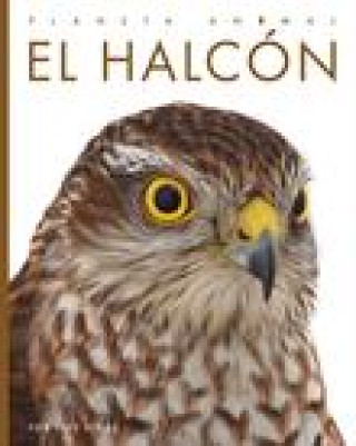 Knjiga El Halcón Bodden