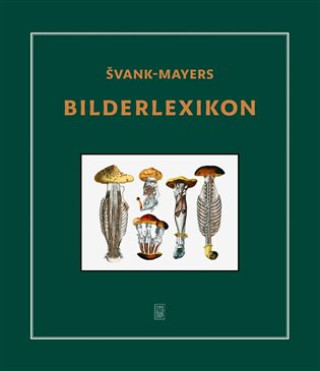 Könyv Švank-mayers Bilderlexikon Jan Švankmajer