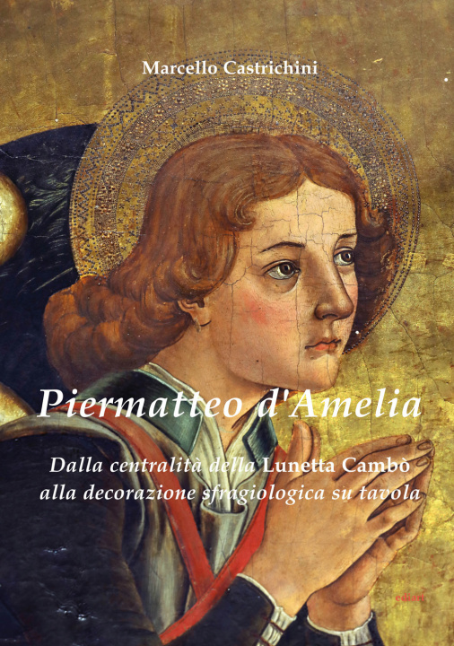 Boek Piermatteo D'Amelia. Dalla centralità della Lunetta Cambò alla sfragiologia nelle tavole Marcello Castrichini