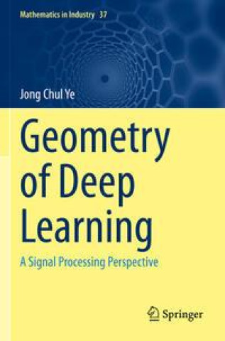 Könyv Geometry of Deep Learning: A Signal Processing Perspective 