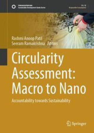 Kniha Circularity Assessment: Macro to Nano: Accountability Towards Sustainability Seeram Ramakrishna