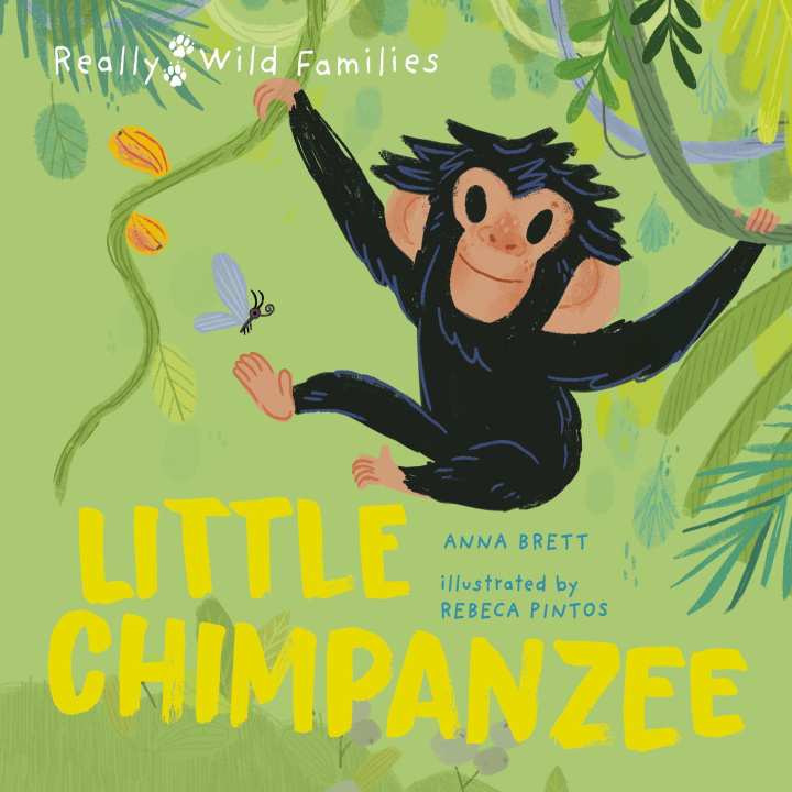 Knjiga Little Chimpanzee Anna Brett