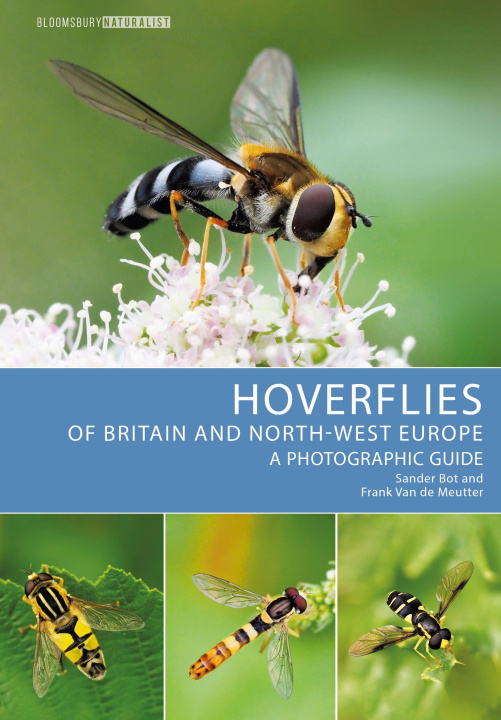 Книга Hoverflies of Britain and North-west Europe Sander Bot