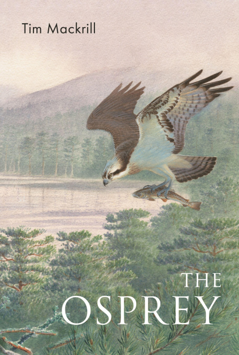 Βιβλίο Osprey Tim Mackrill