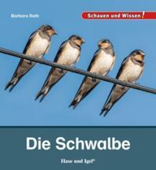 Knjiga Die Schwalbe Barbara Rath