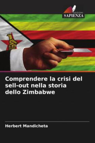 Könyv Comprendere la crisi del sell-out nella storia dello Zimbabwe 