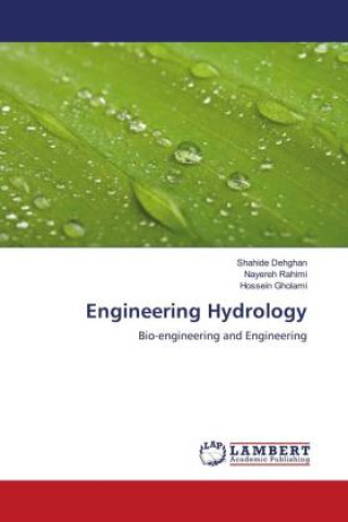 Knjiga Engineering Hydrology Nayereh Rahimi