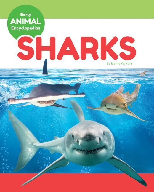 Boek Sharks 
