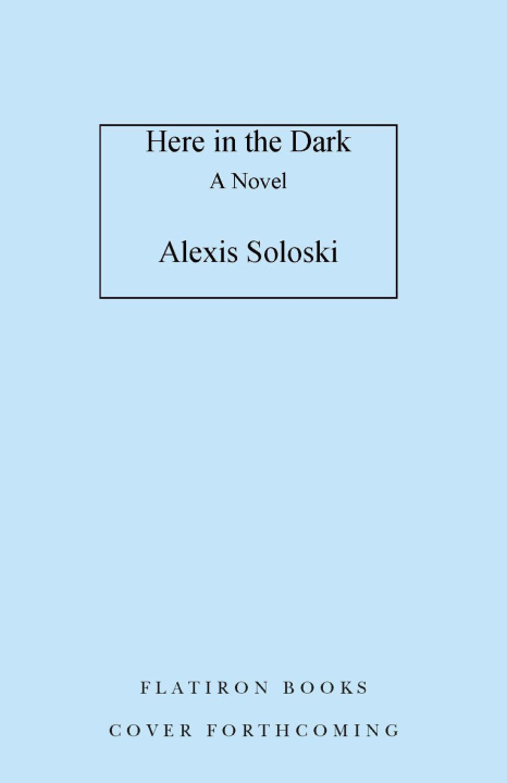 Book Here in the Dark Soloski